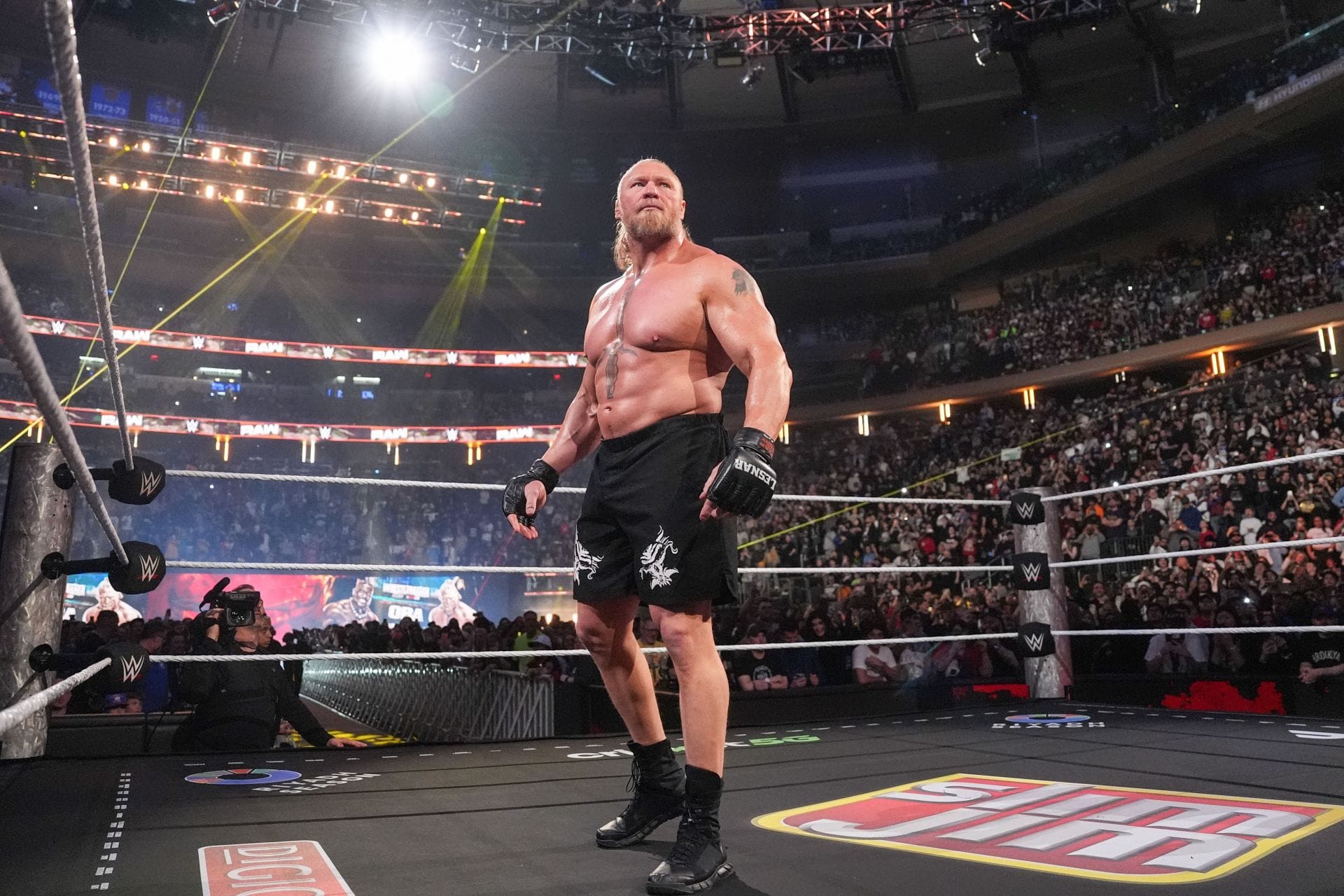 4 WWE Stars Who Were Buried By Brock Lesnar