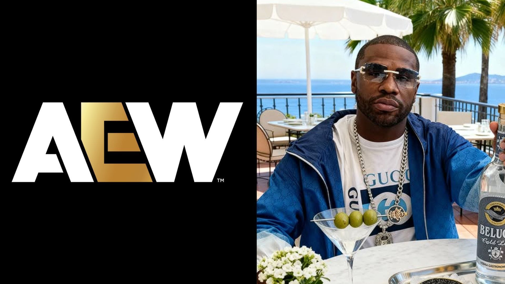 Current AEW Star Details Cancelled Plans Involving Floyd Mayweather 