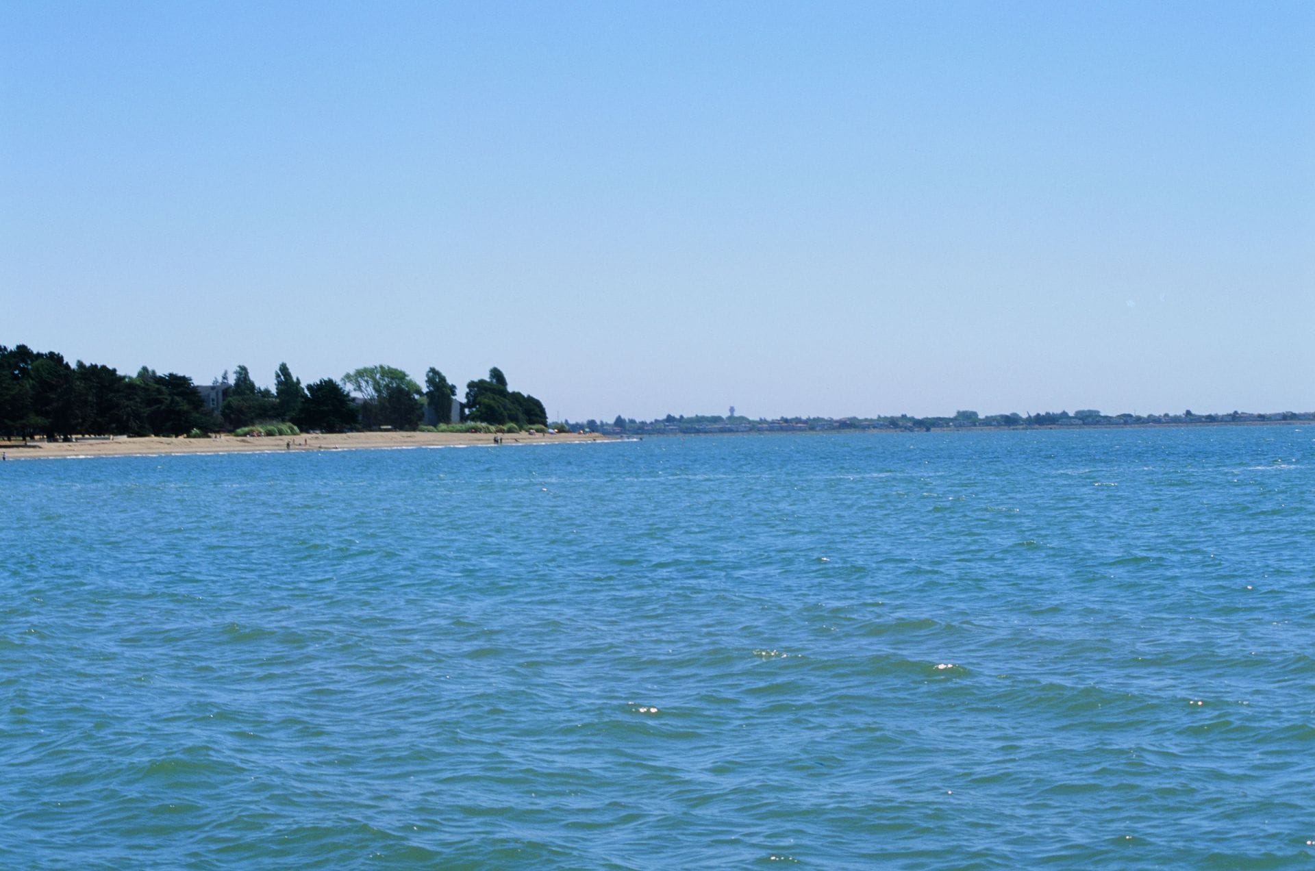 "Nature really said 'wrong place, wrong time'" - Internet reacts to the video of a windsurfer crashing into a whale in San Francisco Bay