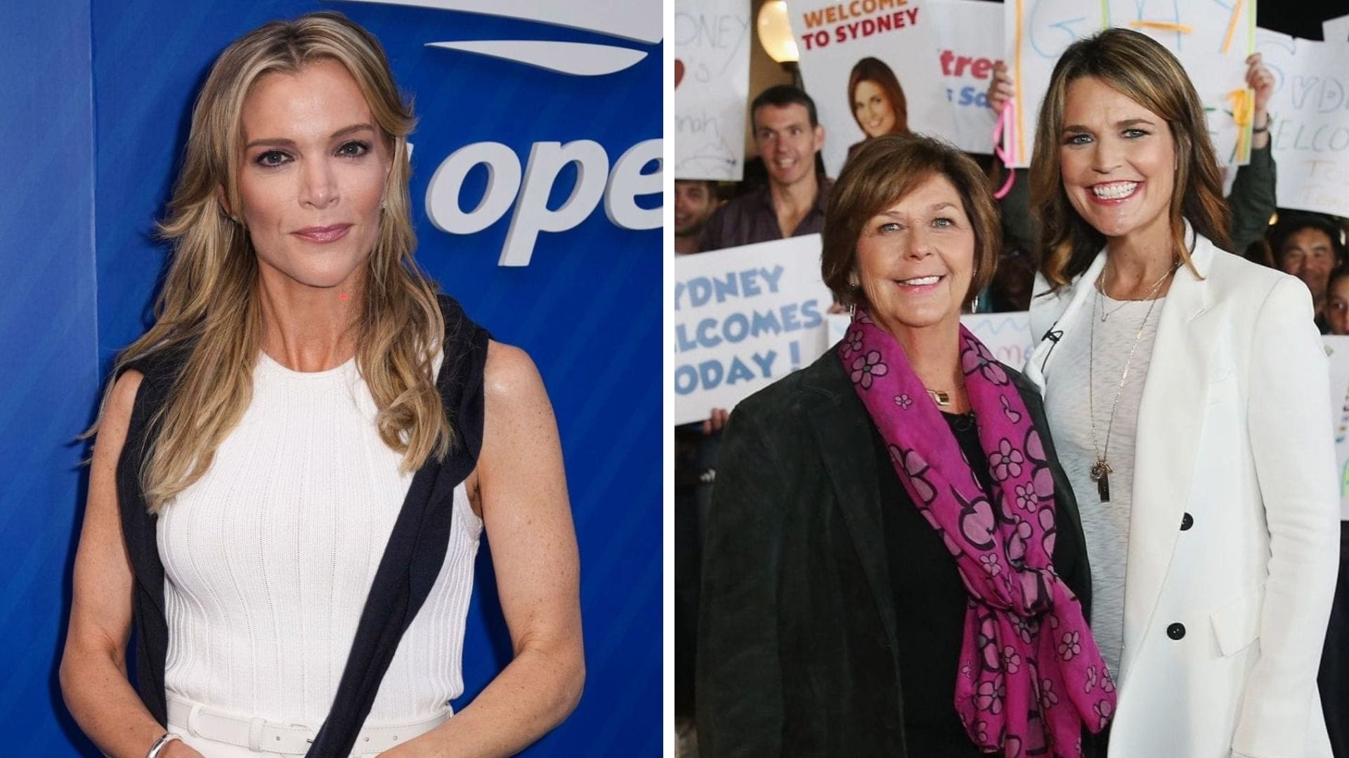 "That's obviously dark": Megyn Kelly reacts after Harvey Levin claims ransom notes in Nancy Guthrie case threatened to kill her