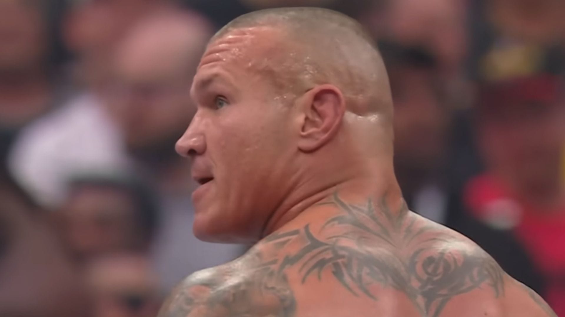 4 Clear WWE signs Randy Orton will NOT win his 15th World Championship at Wrestlemania 42