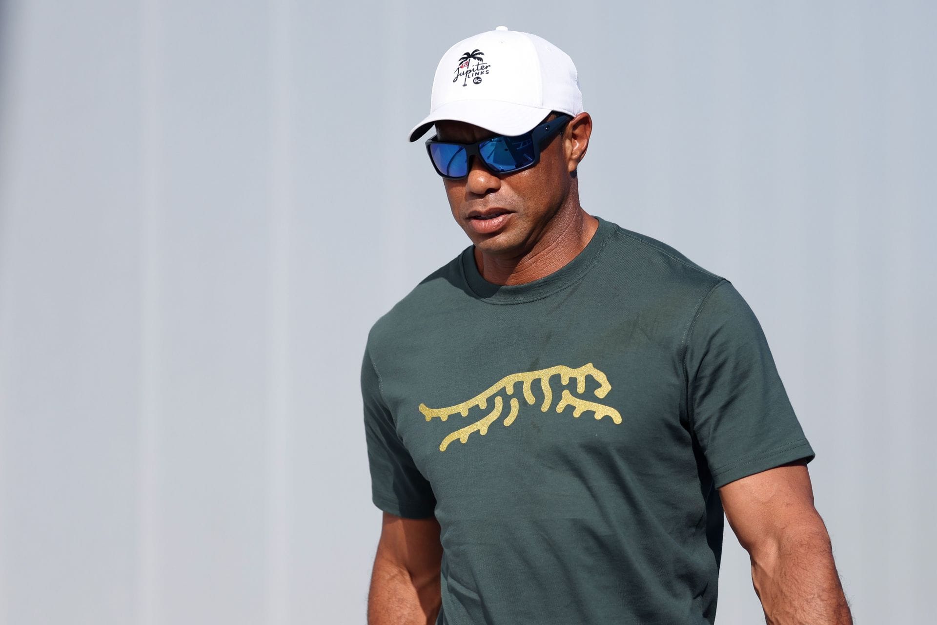 Gary Player advises Tiger Woods to limit 'dangerous' activity by making an important addition