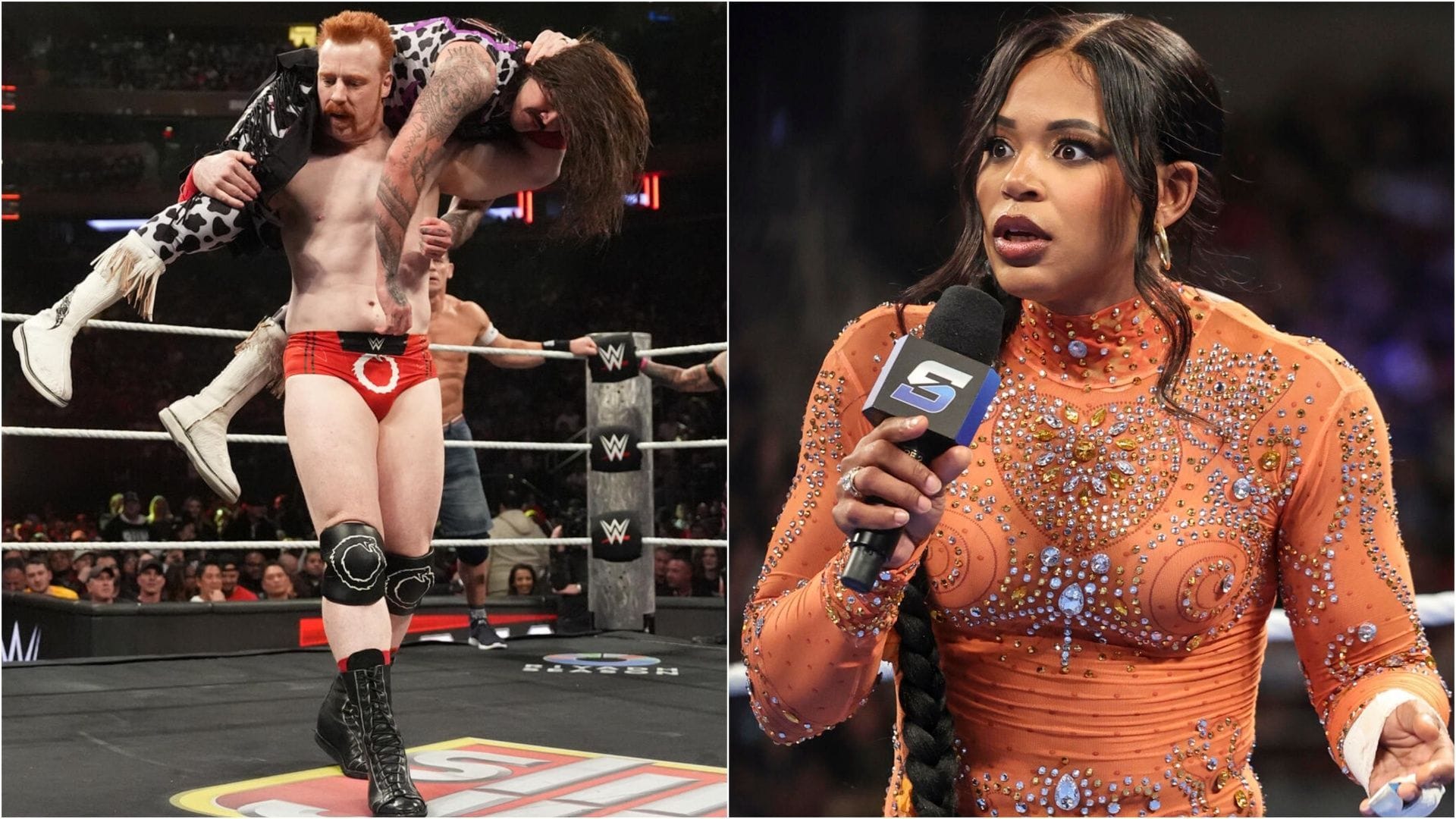 Injury Updates: WWE Icons Sheamus & Bianca Belair [REPORTS]