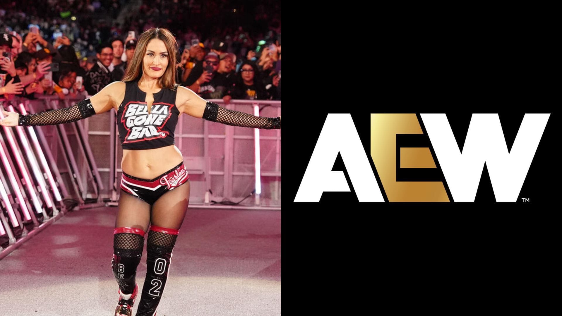 AEW Star Drops A Massive Nikki Bella Reference After She Reportedly Gets Removed from WrestleMania 42 Match