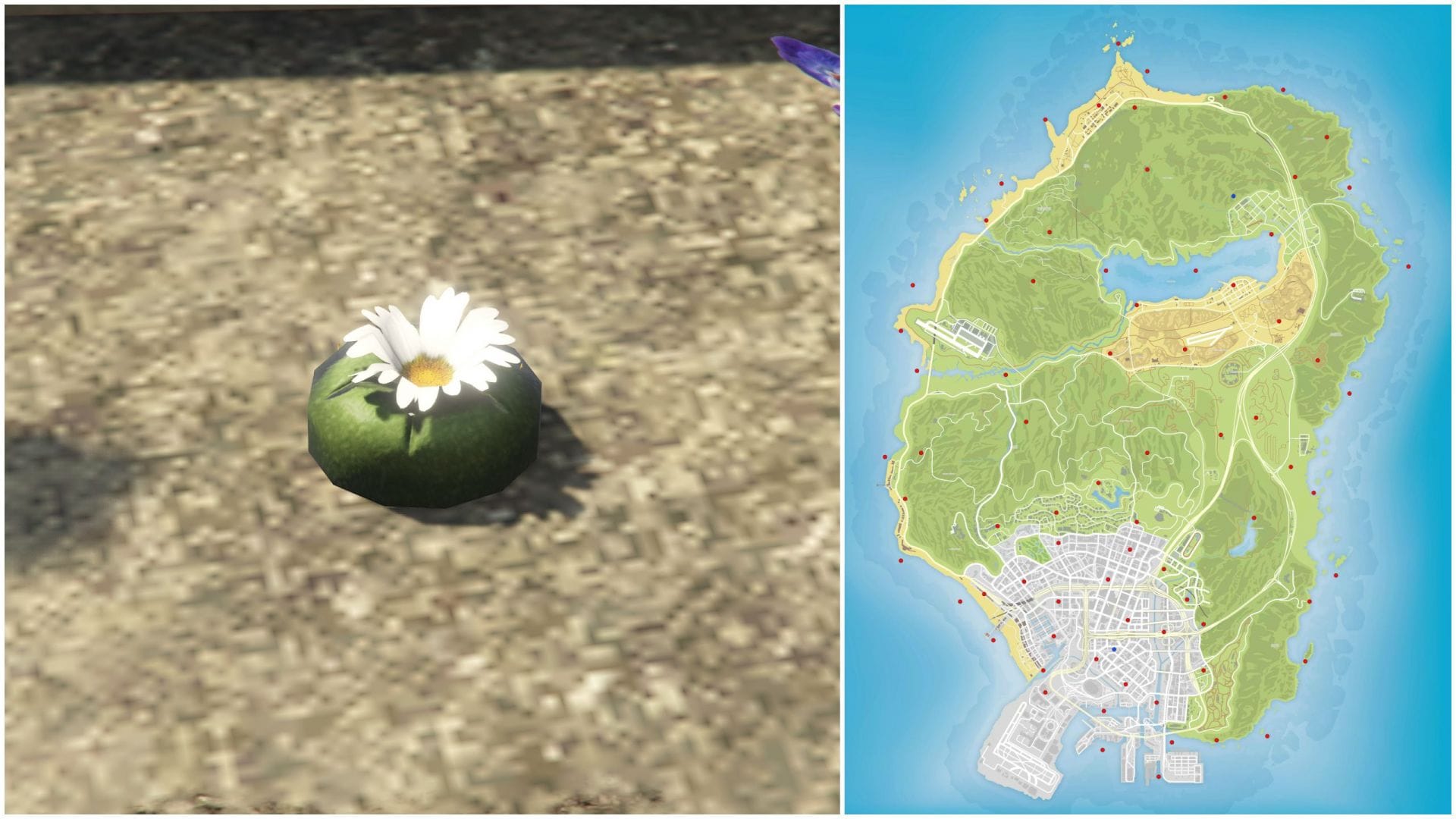 Peyote Plants return in GTA Online 420 Event: Everything to know