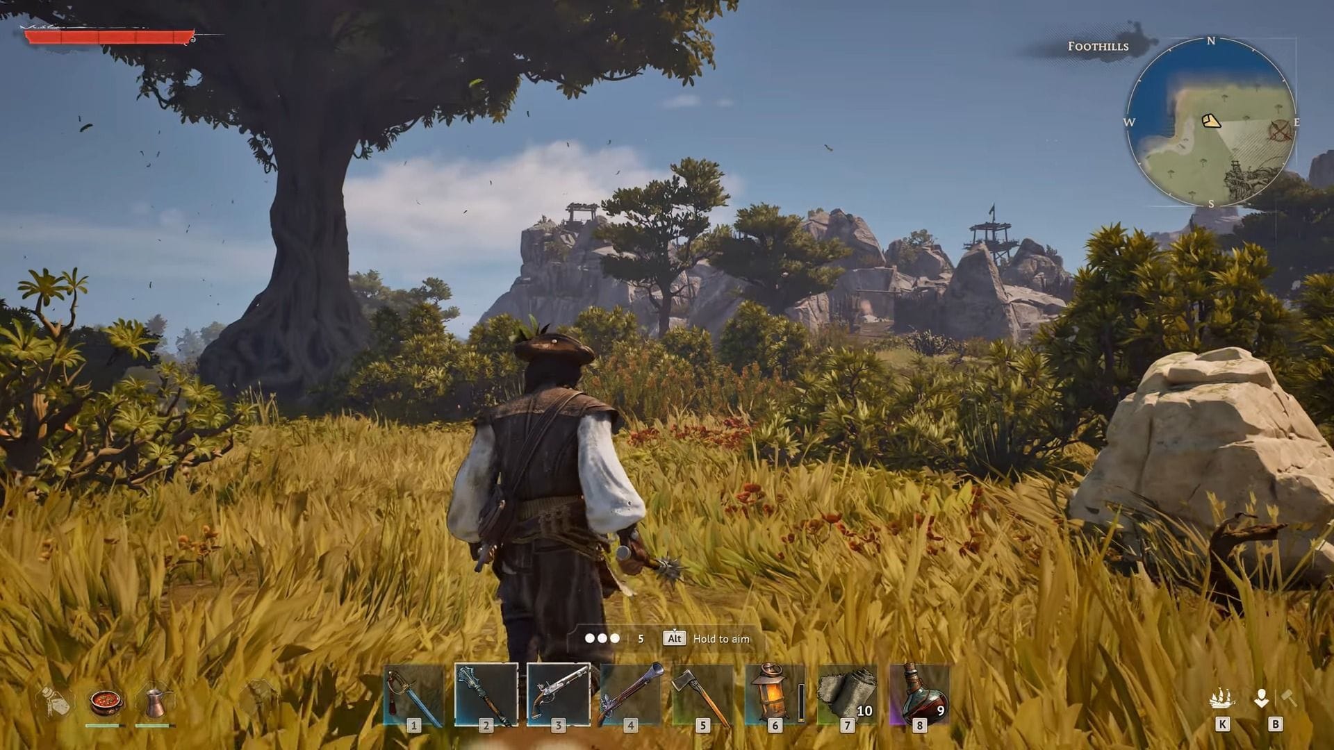All Coastal Jungle discoveries in Windrose