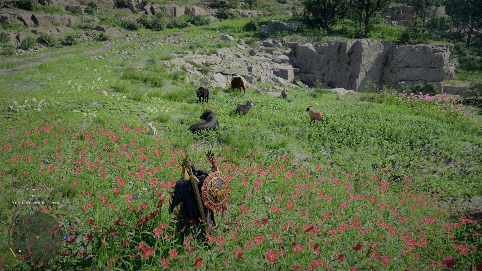 How to get Fleece in Crimson Desert