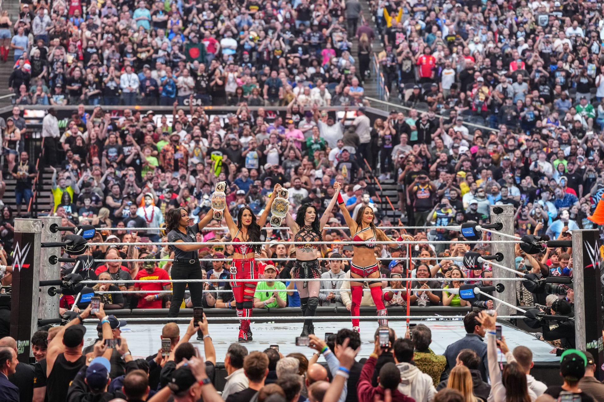 5 Challengers for the new WWE Women’s Tag Team Champions Paige and Brie Bella