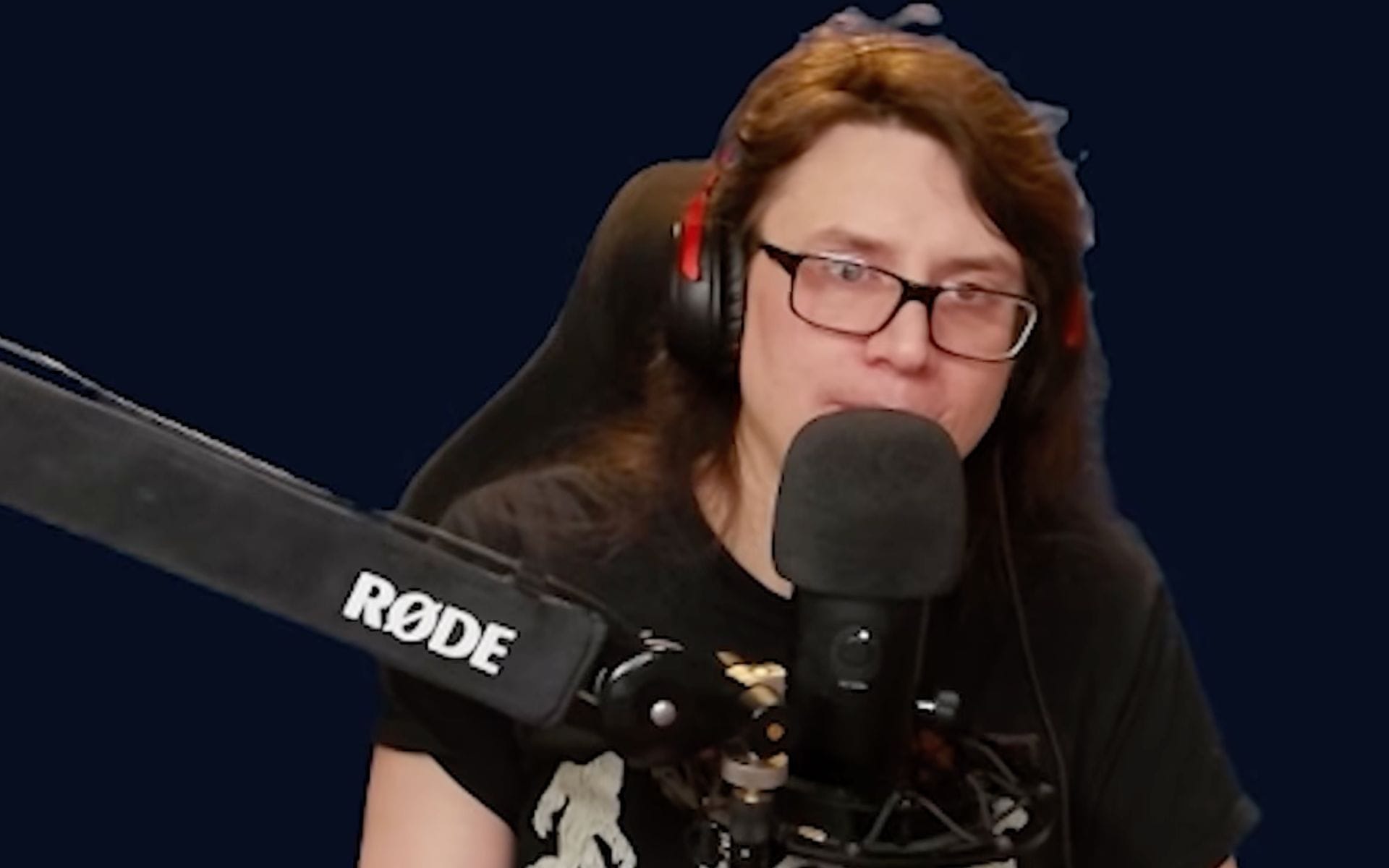 Pirate Software's head moderator and rest of moderation team have either been fired or have quit, according to YouTuber Quintheo