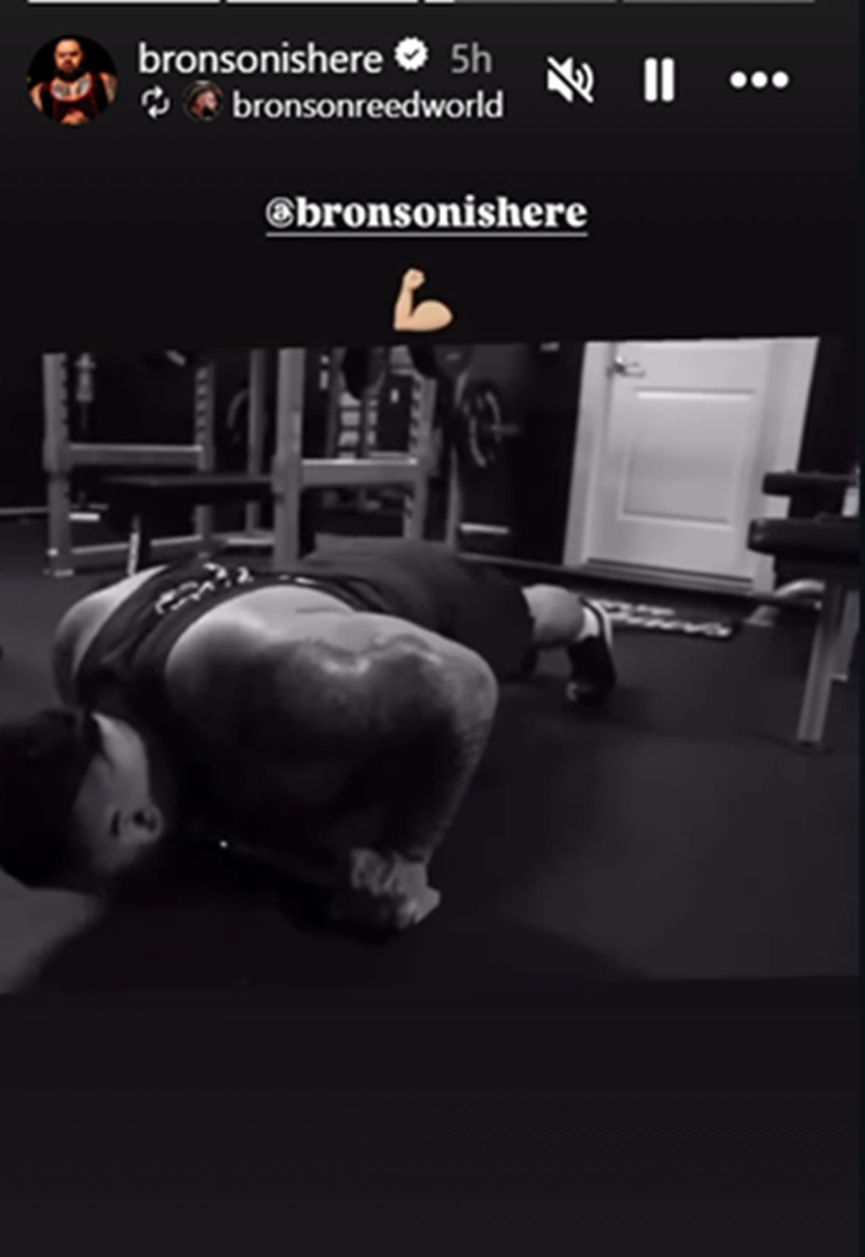 Bronson Reed może być gotowy do powrotu