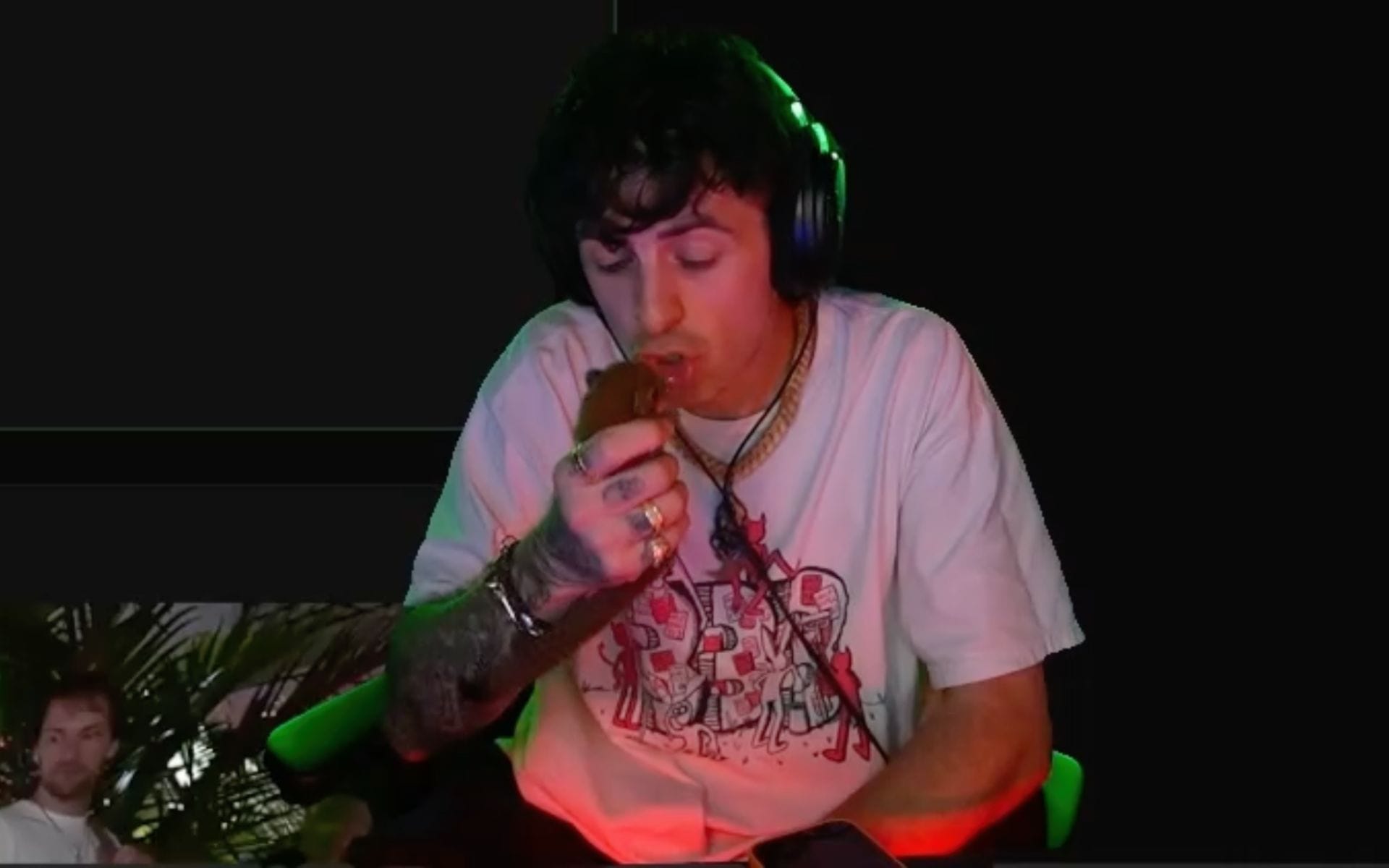 Controversial streamer Sam Pepper accused of animal abuse