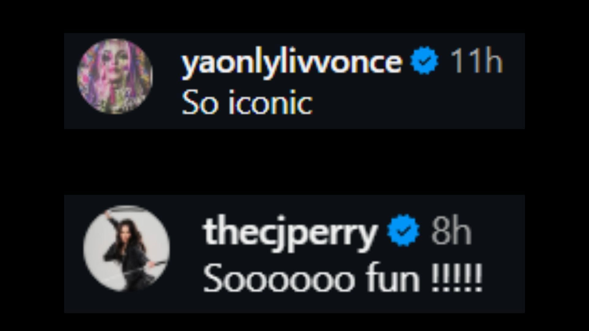 Screenshots of Liv Morgan and CJ Perry's comments [Image via Instagram/@ianmaxion]