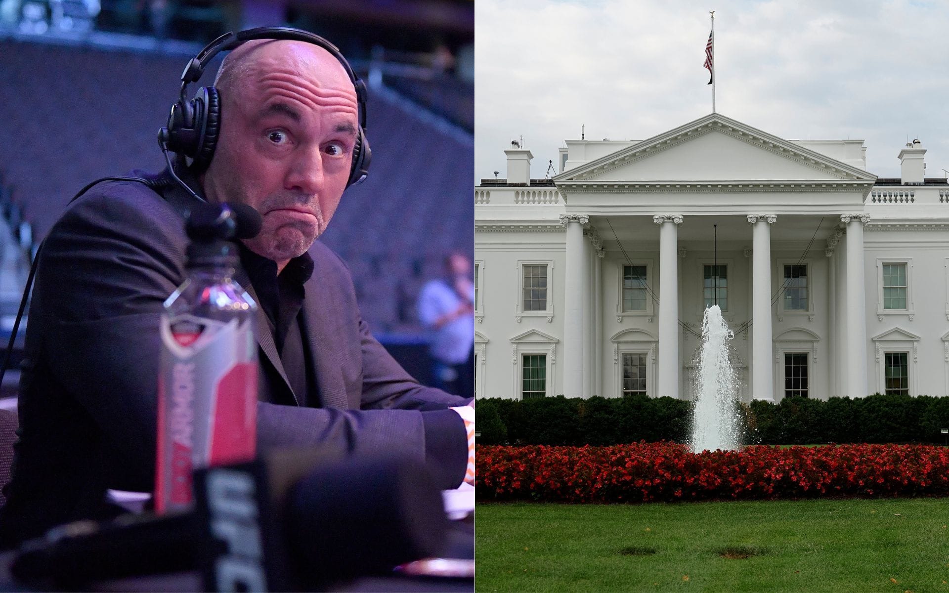 "How are you going to stop the bugs?" - Joe Rogan slams the UFC White House event