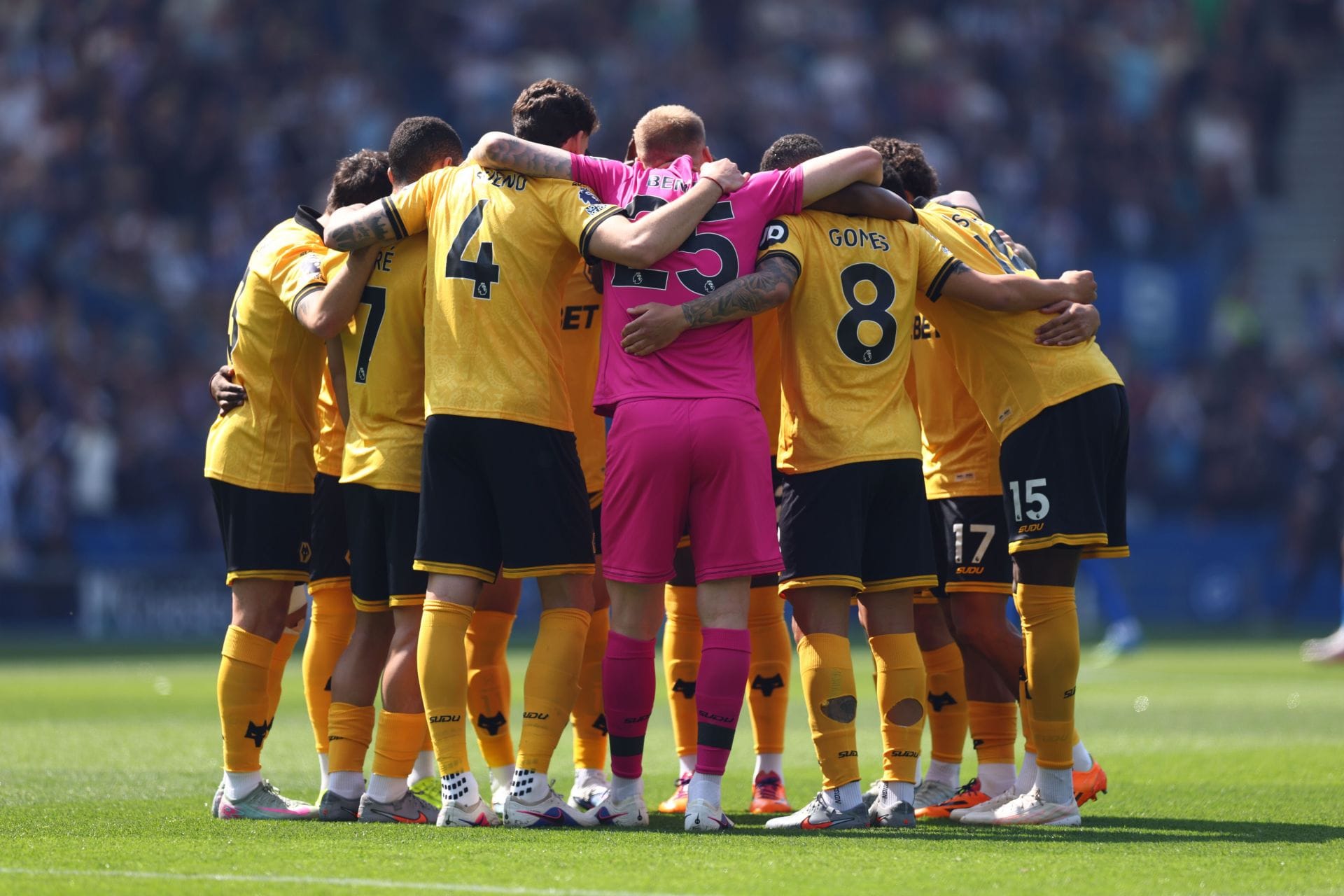 Brighton & Hove Albion v Wolverhampton Wanderers - Premier League - Source: Getty