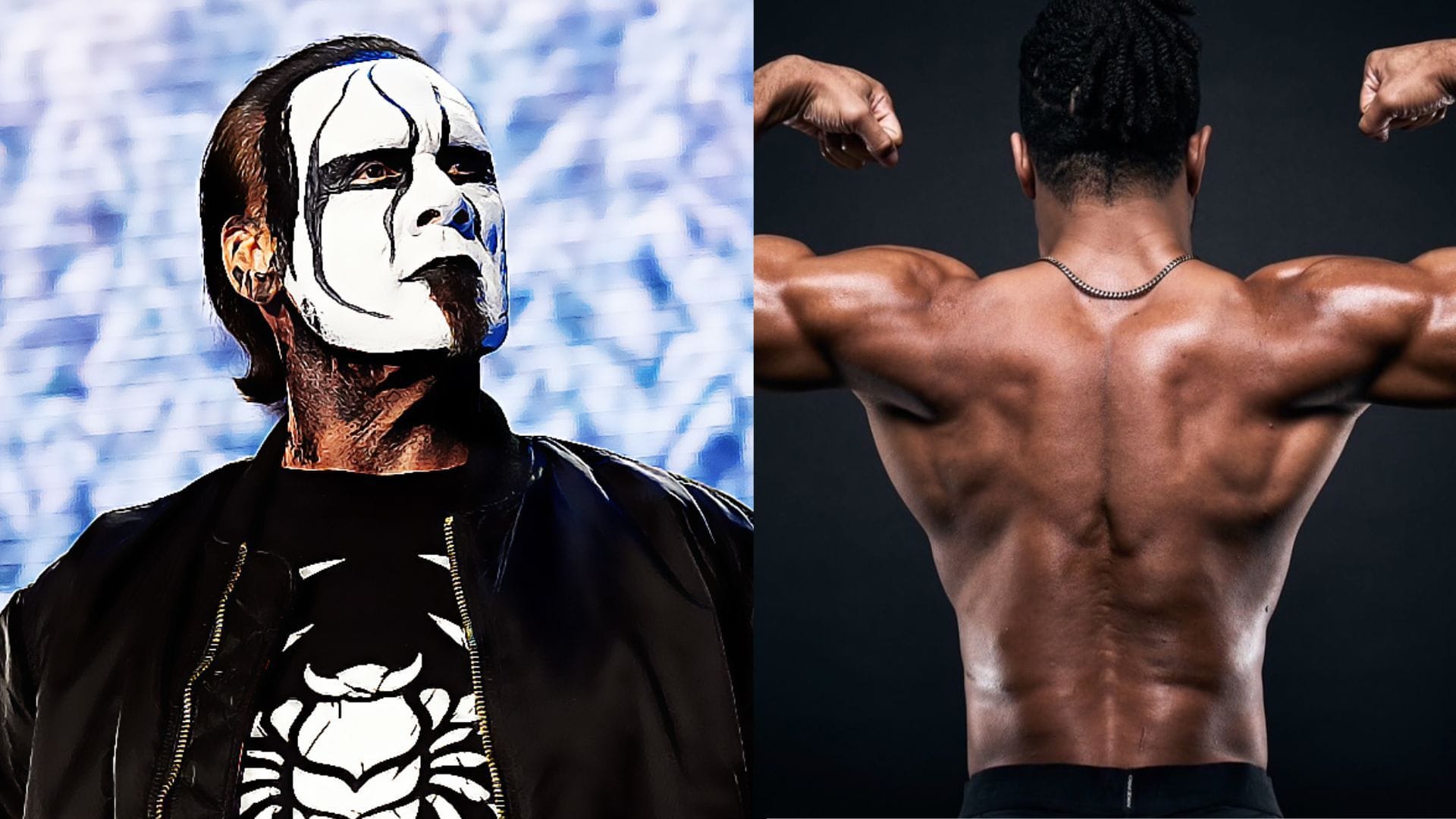 WWE Hall of Famer Sting Showers Praise Upon Rising AEW Star