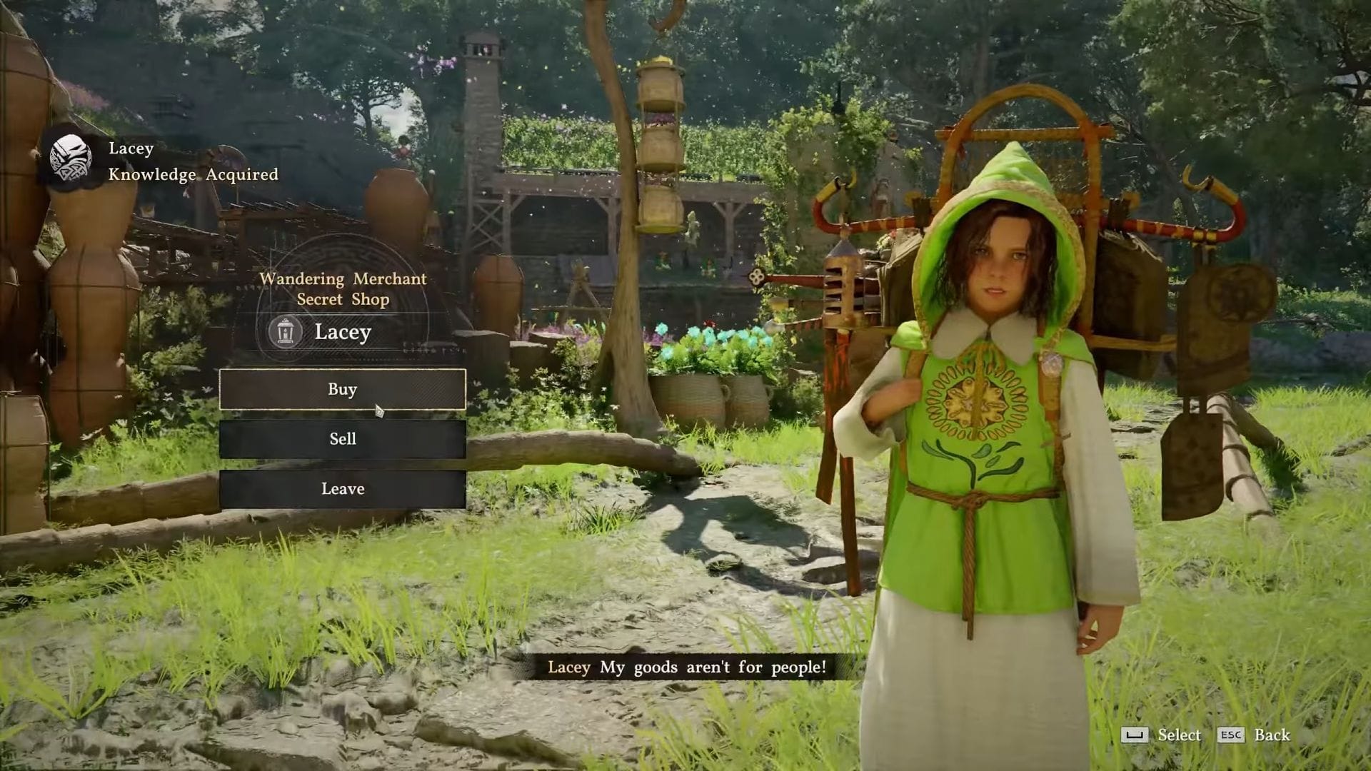 Talk to Lacey (Image via Pearl Abyss || YouTube/@IPAITH)