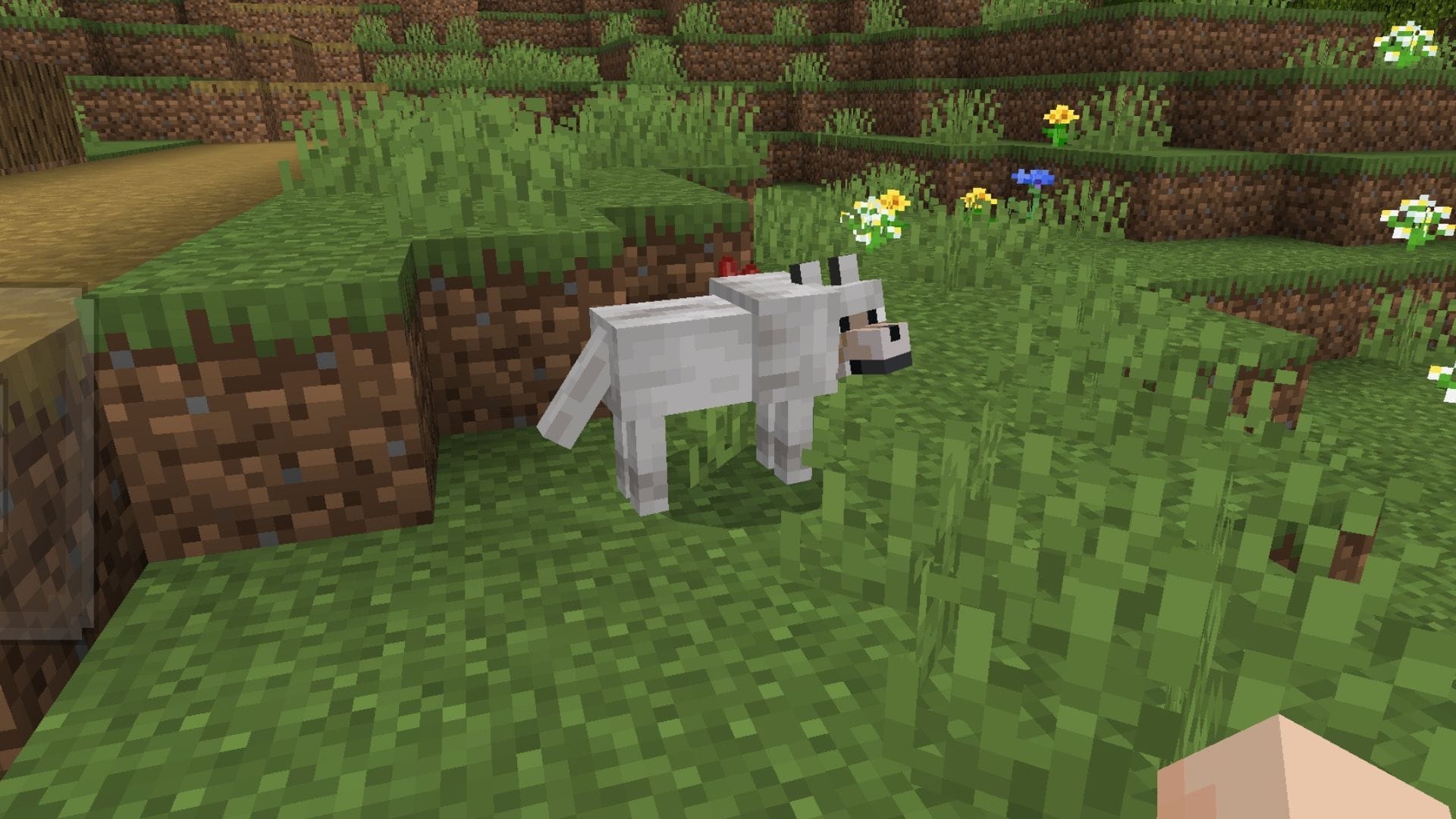 Wolves can become a part of your adventure and help you fight hostile mobs (Image via Mojang Studios)
