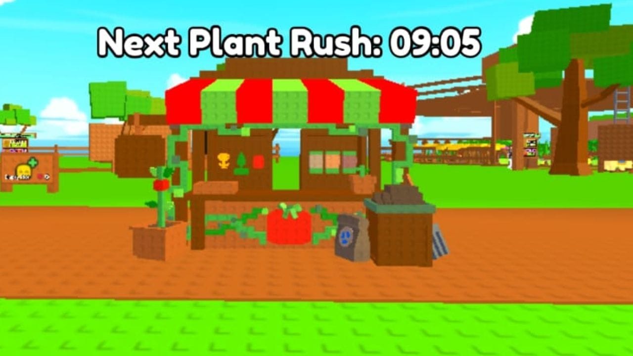 Countdown for the next Plant Rush (Image via Roblox)