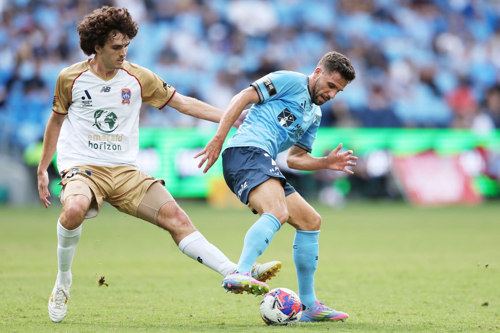 Sydney FC vs Newcastle Jets Prediction and Betting Tips | May 9th 2026