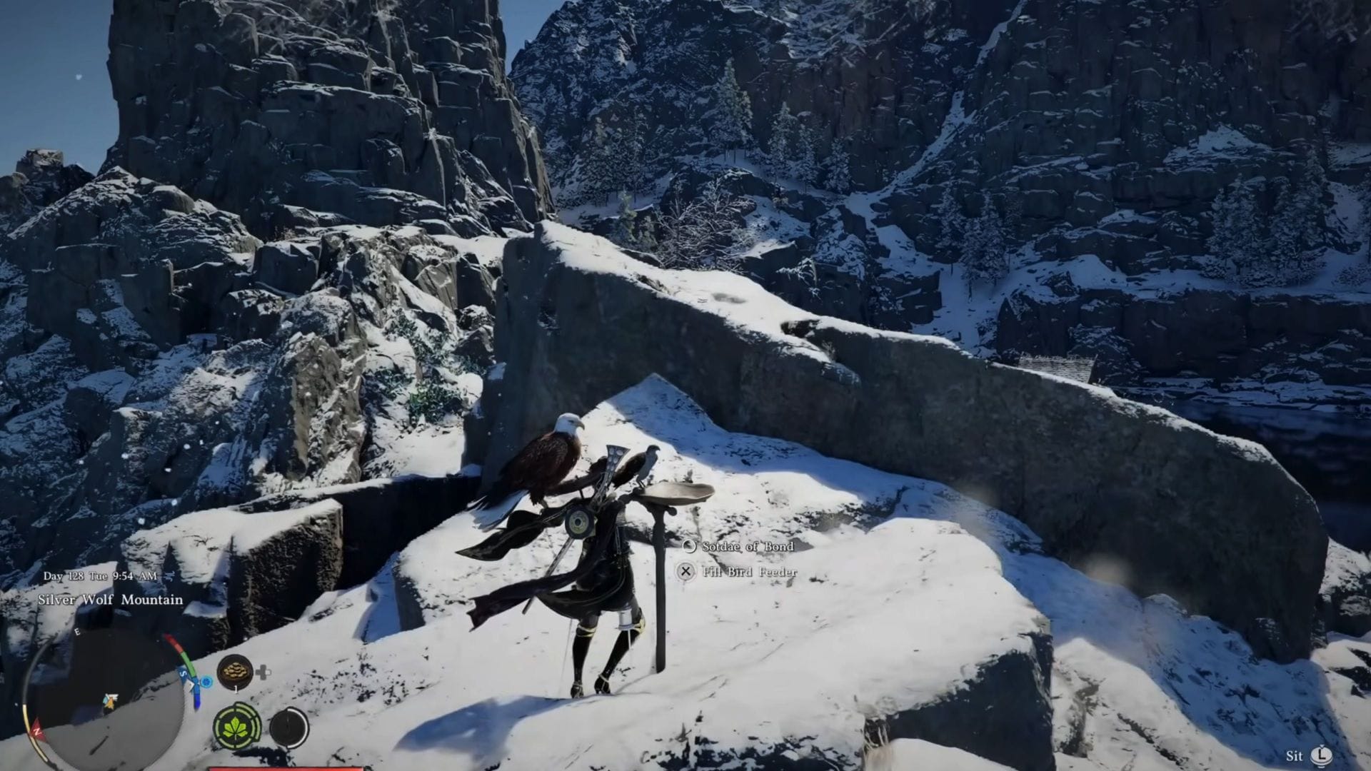 Best Eagle pet catching locations in Crimson Desert