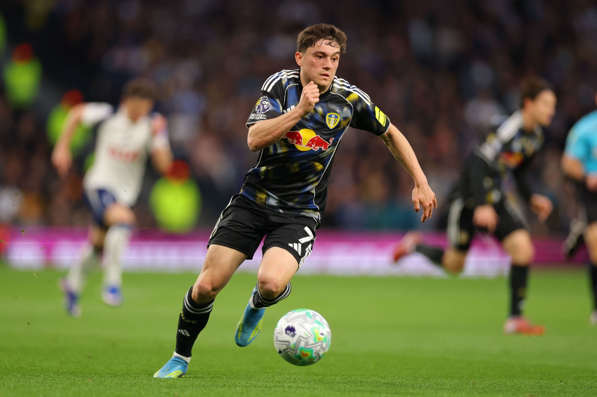Leeds United vs Brighton Prediction and Betting Tips | May 17th 2026