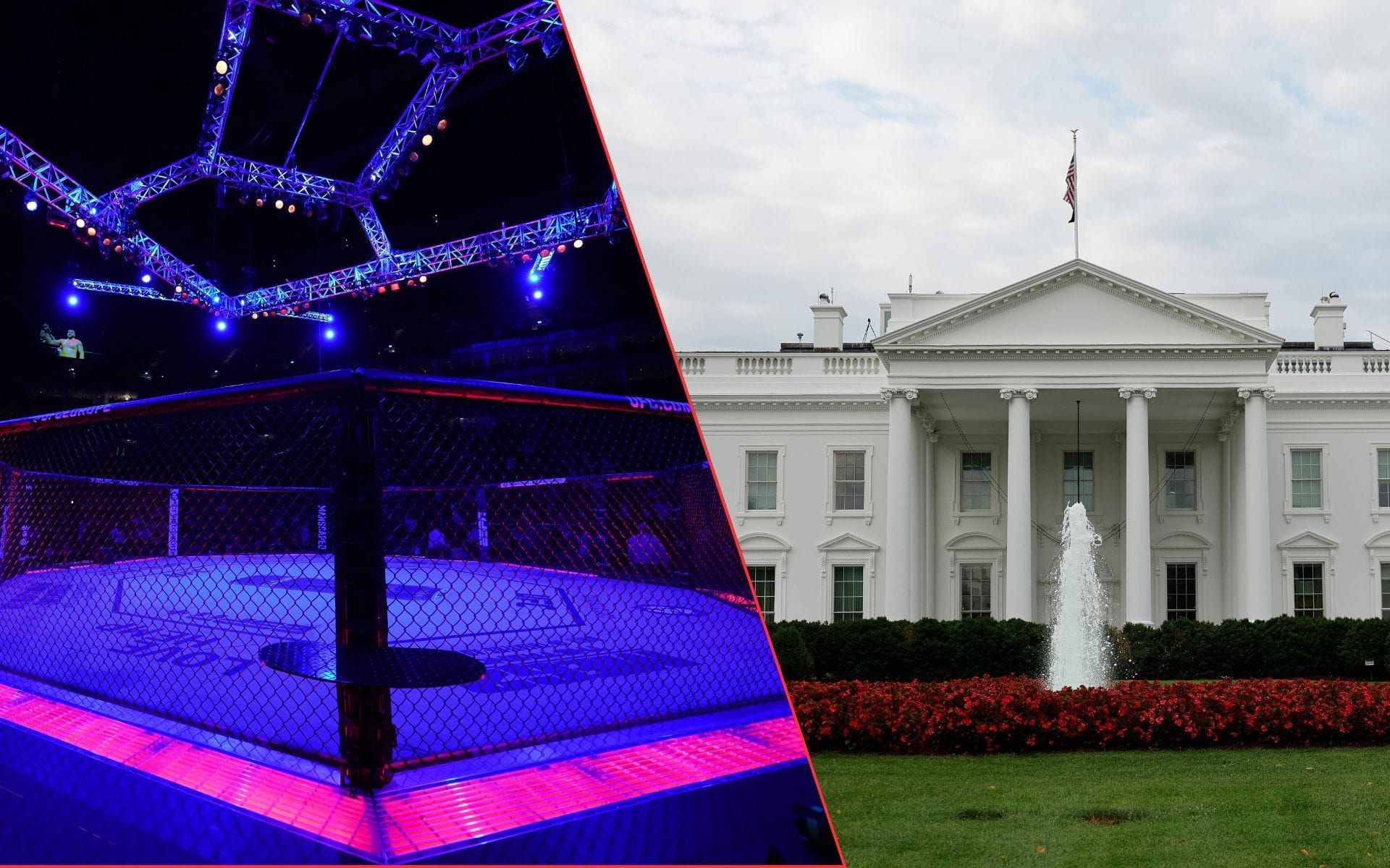 UFC Freedom 250 Fan Fest: Meet & greets, celebrity appearances, weigh-ins, and what to expect