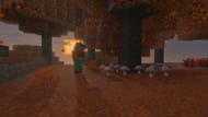 The new wood can be found in Dappled Forest (Image via Mojang Studios)