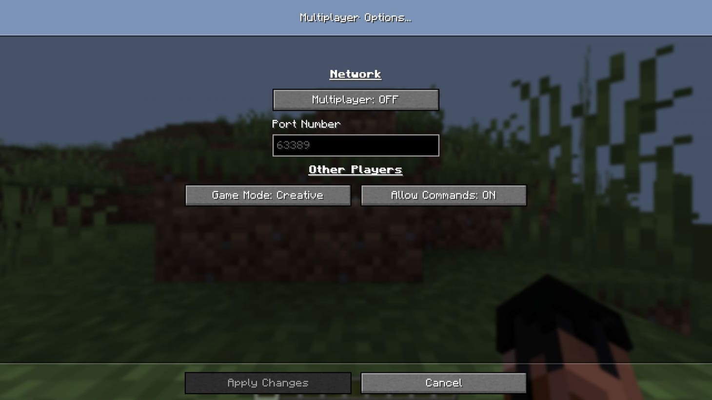 How to play Minecraft Java multiplayer using peer-to-peer option