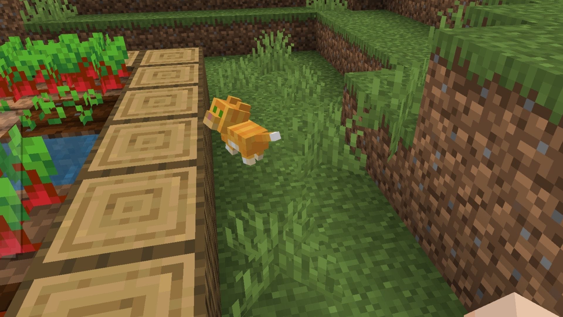Cats are not just cute, but they also stop creepers from creeping up behind  (Image via Mojang Studios)