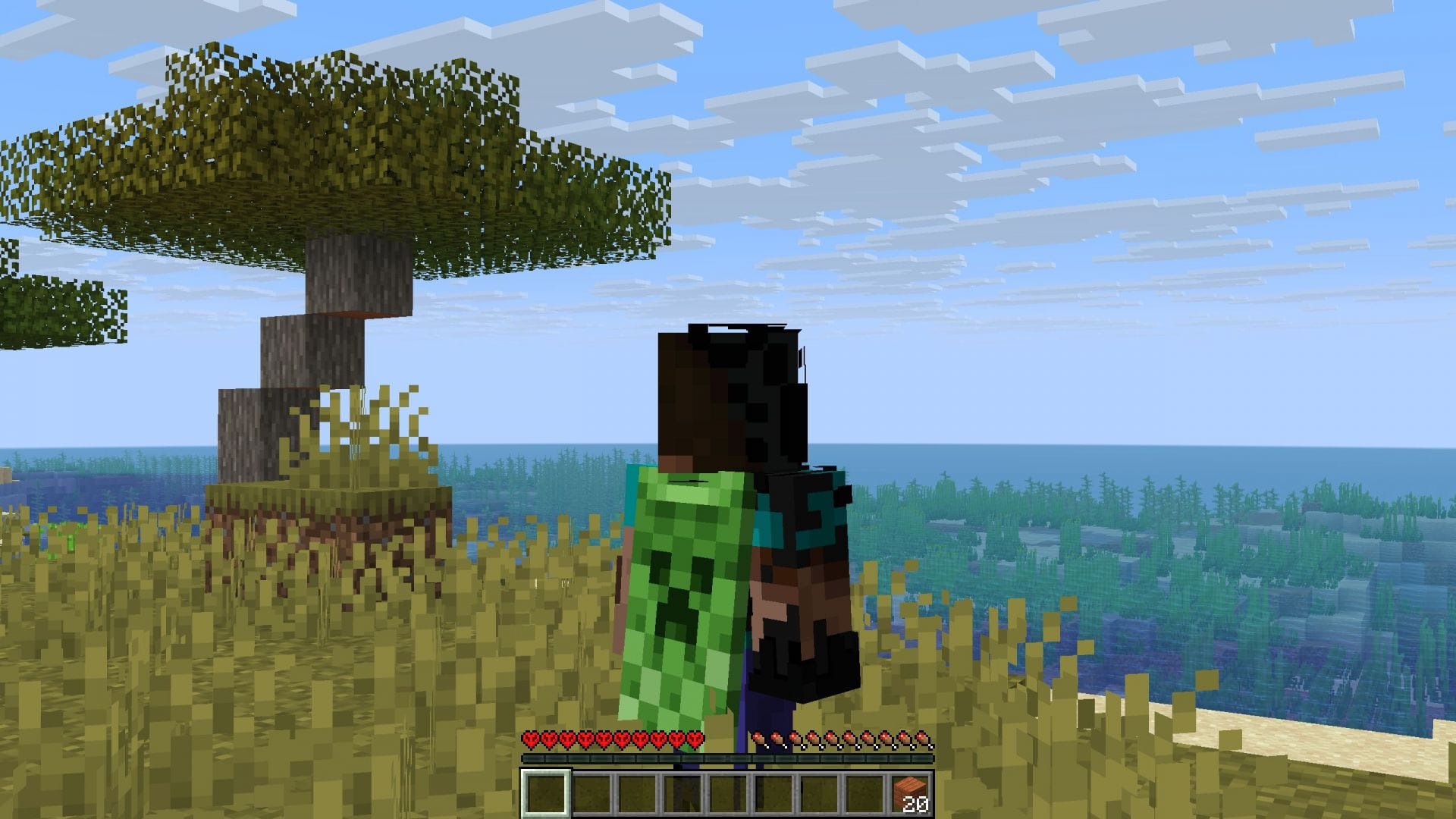Qualquer pessoa pode criar servidores usando as ferramentas oficiais da Mojang (Imagem via Mojang Studios || Sportskeeda)