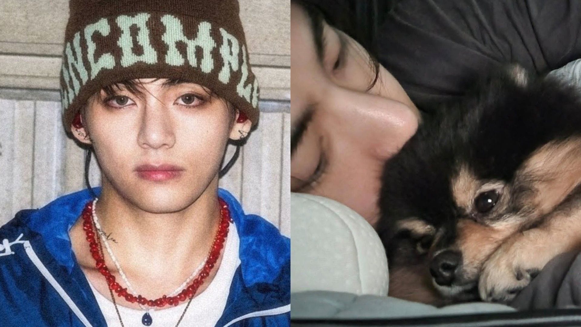 "Tete looks so happy" - Fans emotional as clip of BTS' Taehyung embracing Yeontan plushie at Busan Day 2 concert goes viral