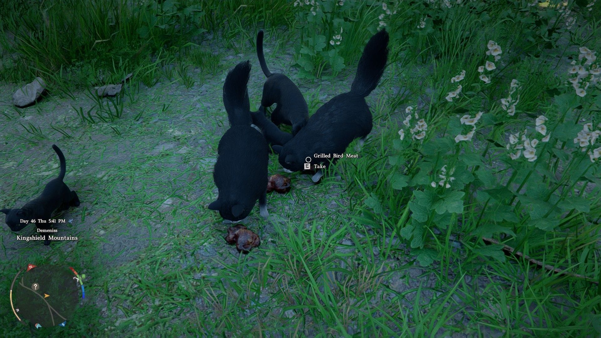 Agora há mais espaço para os chonks (Imagem via Pearl Abyss)