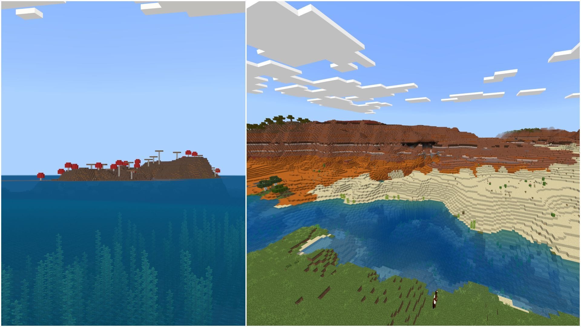 Two rare biomes near each other (Image via Mojang Studios || Sportskeeda)