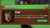 Ability of the Owl pet (Image via Roblox)