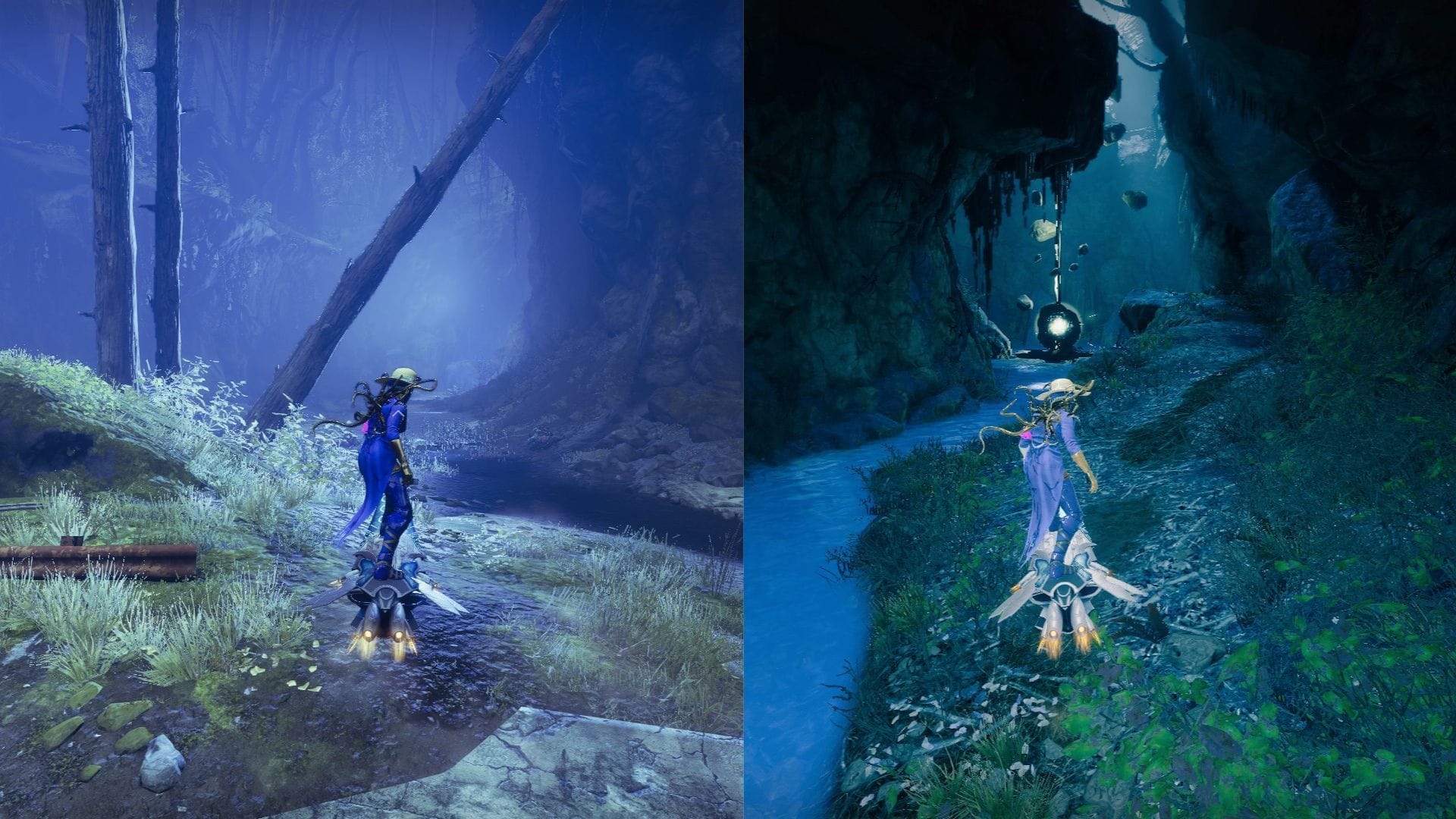 Siga o fluxo até a Floresta Negra na EDZ (Imagem via Bungie)