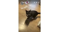 Uma captura de tela da postagem de vídeo de Mina Shirakawa nas histórias do IG (Instagram/@mina_shirakawa)