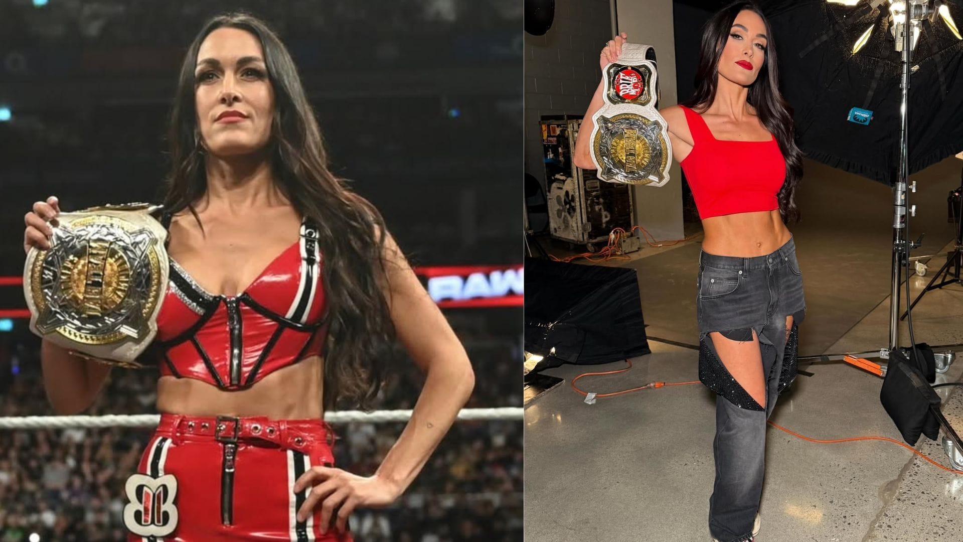 Brie Bella reunites with 44-year-old WWE star