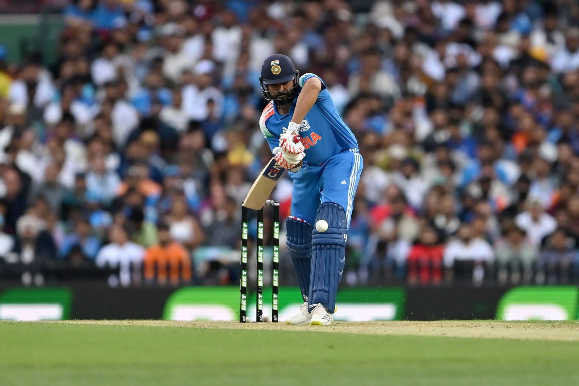 Former RCB batter makes huge remark on Rohit Sharma’s batting amid IND vs AFG 2026 ODIs