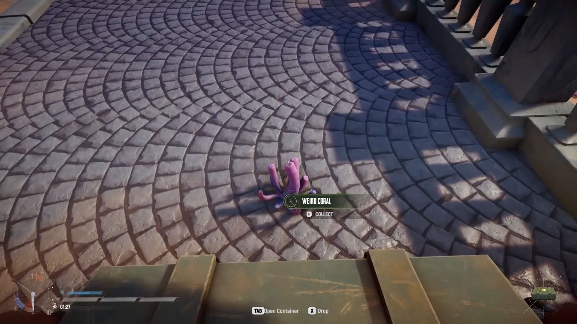 Where to find Coral Chunks and Weird Coral in Sand Raiders of Sophie