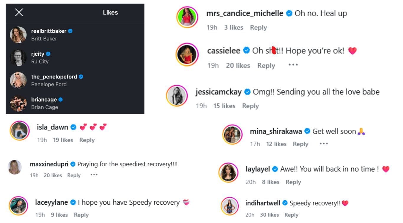 Comentários de estrelas desejando boa sorte a Purrazzo (Screengrabs via Instagram/@deonnapurrazzo)