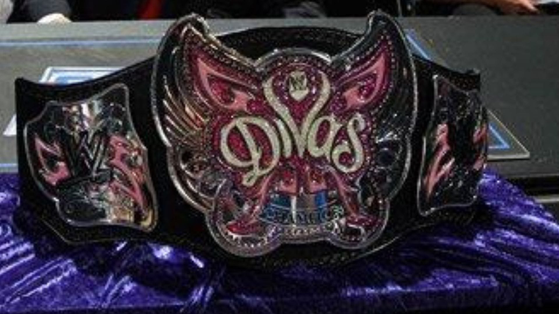 Former Women's Champion doesn't want to tarnish her legacy by returning to WWE for another run