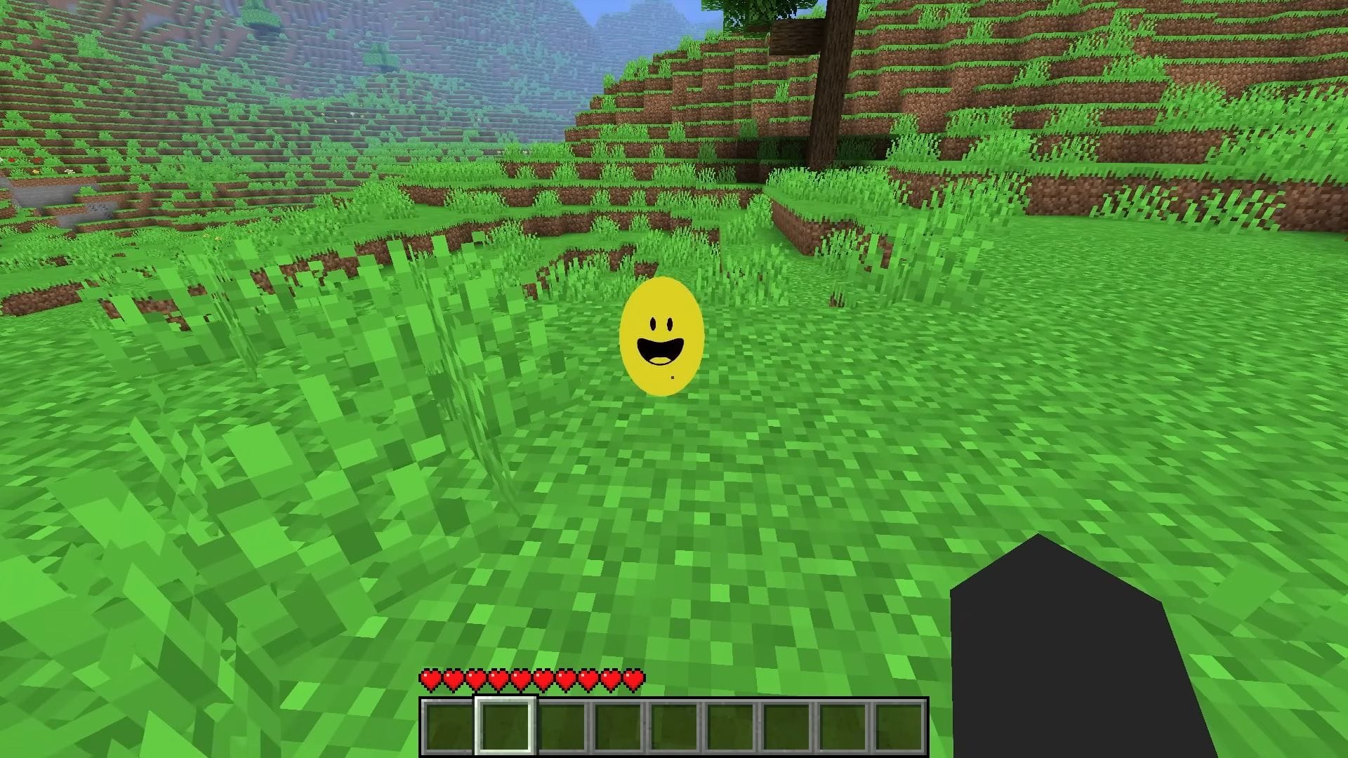 The entity at the start of the Minecraft mod as a smiley ball