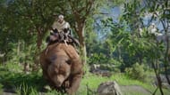 Weeks after riding the bear, you can ride the wyvern now (Image via Pearl Abyss)