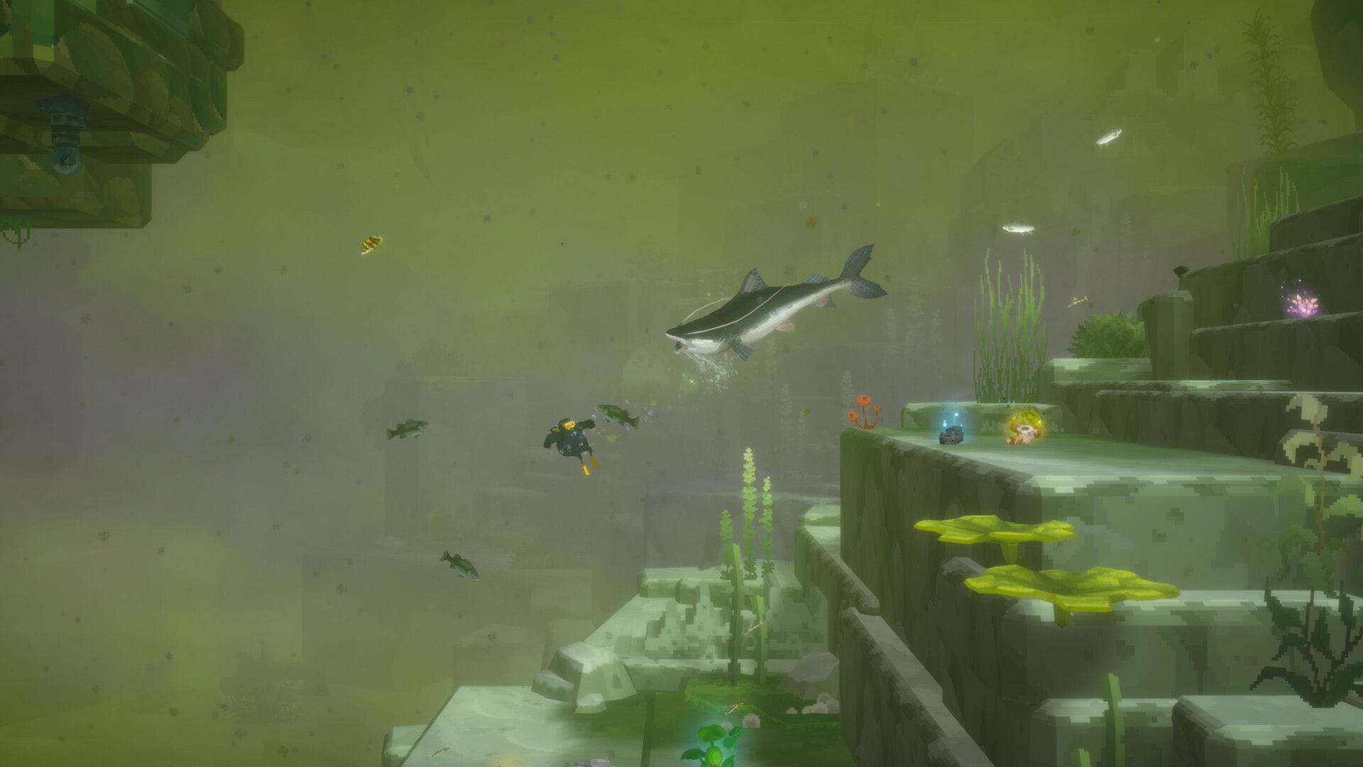 All Dave the Diver In the Jungle crafting items and their locations