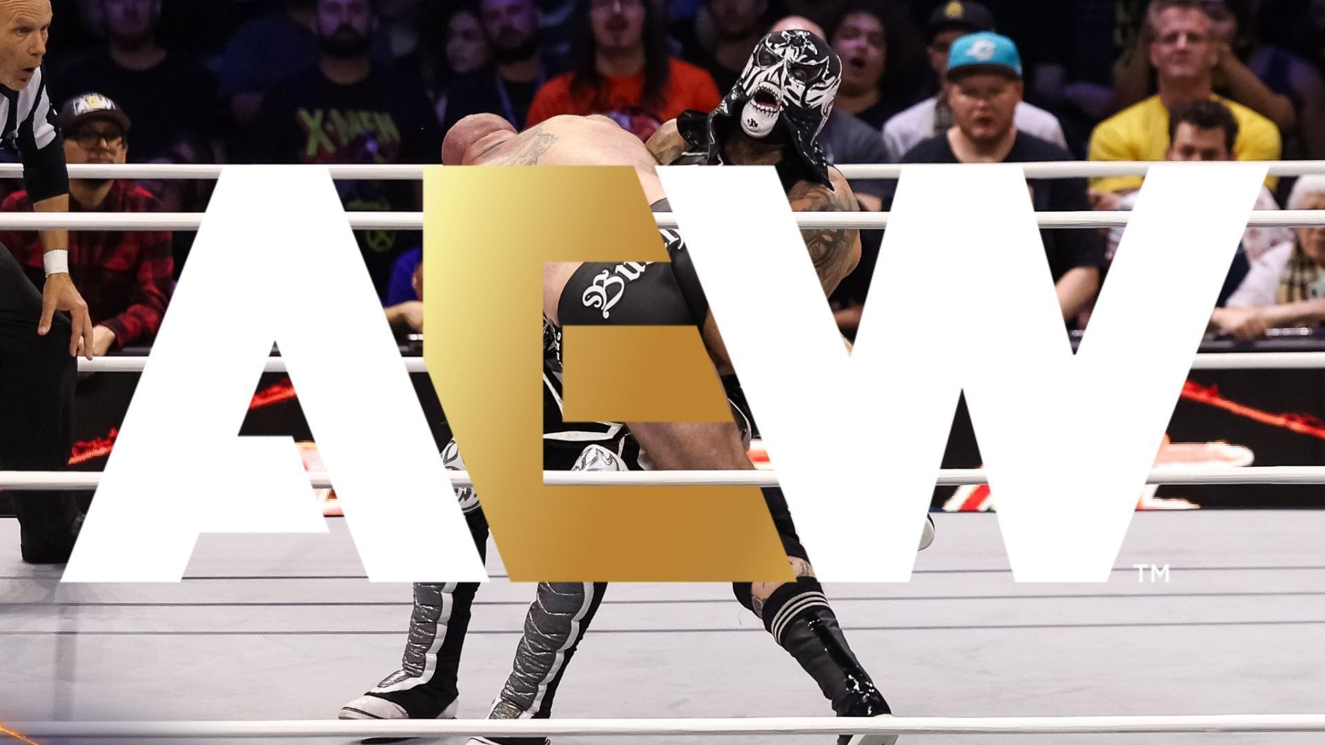 48-year-old star breaks social media silence following recent AEW departure