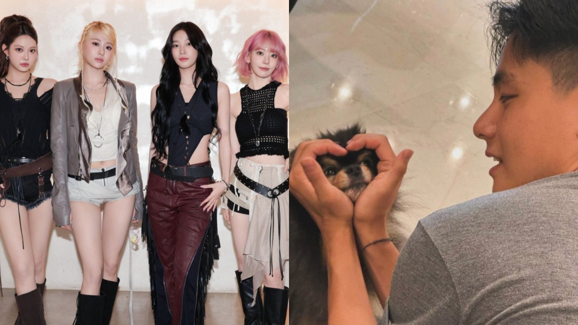 "It's truly terrible" - LE SSERAFIM faces backlash over using Al-generated dogs resembling BTS' V's Yeontan