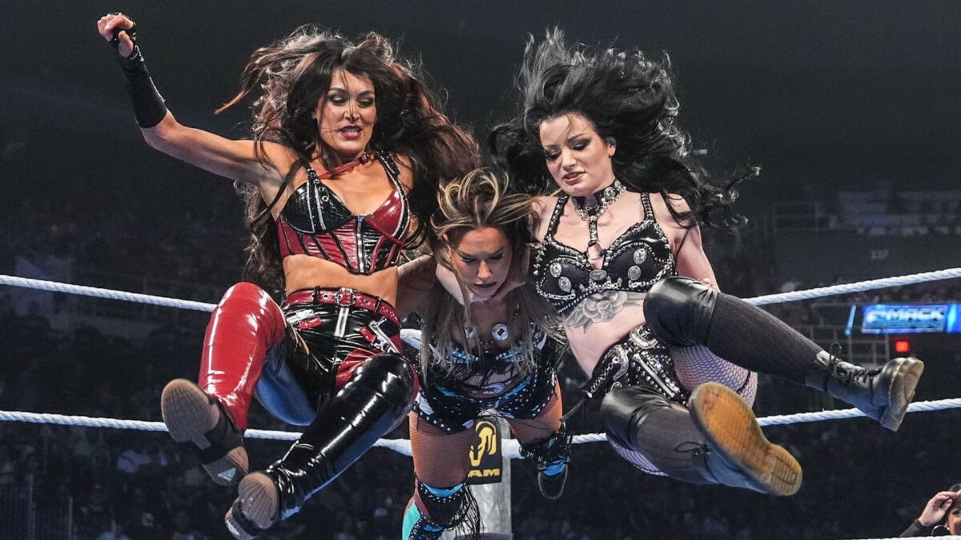 Paige and Brie Bella send message ahead of SmackDown; major WWE star reacts