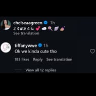 Comentário de Tiffany Startton na postagem de Chelsea Green (Imagem via Instagram/@chelseaagreen)