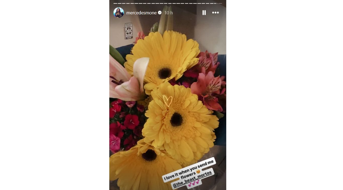 História IG de Mercedes Mone (Screengrab retirado do Instagram/@mercedesmone)