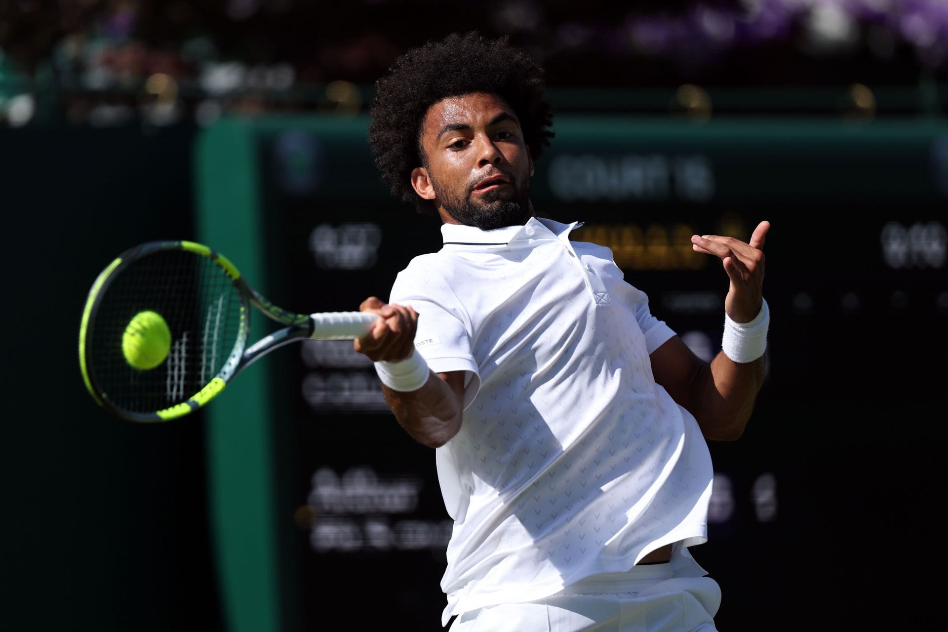 Fils em Wimbledon 2026 (Fonte da imagem: Getty)